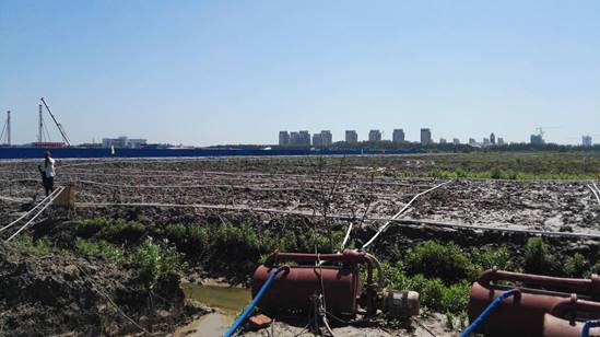 IMG_20160630_093122